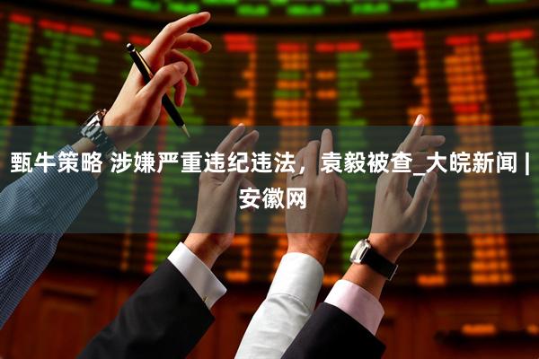 甄牛策略 涉嫌严重违纪违法，袁毅被查_大皖新闻 | 安徽网