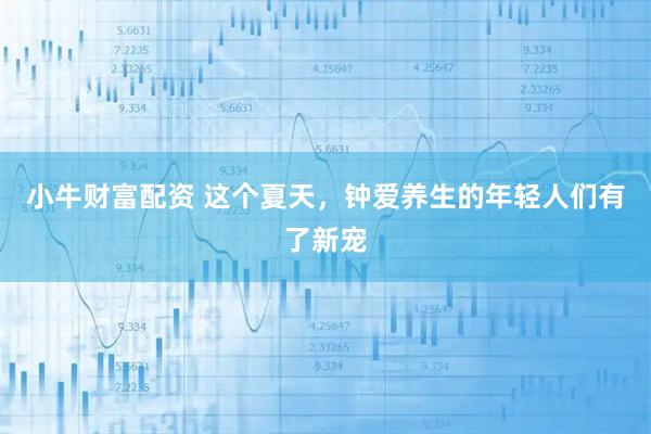 小牛财富配资 这个夏天，钟爱养生的年轻人们有了新宠