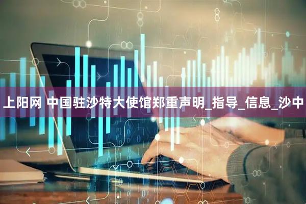 上阳网 中国驻沙特大使馆郑重声明_指导_信息_沙中