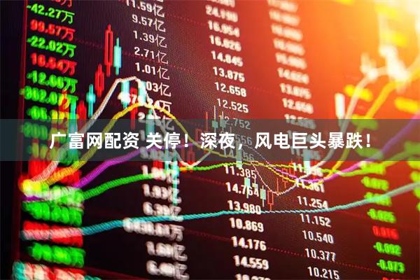 广富网配资 关停！深夜，风电巨头暴跌！