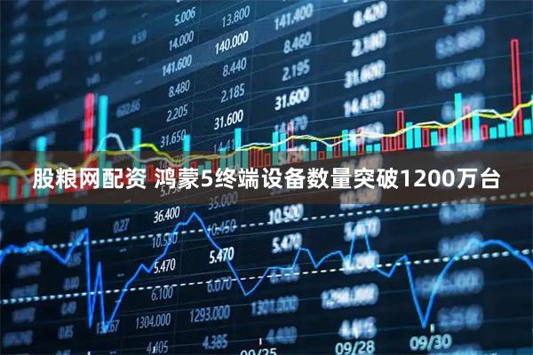 股粮网配资 鸿蒙5终端设备数量突破1200万台