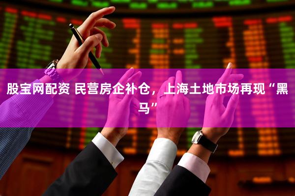 股宝网配资 民营房企补仓,上海土地市场再现“黑马”