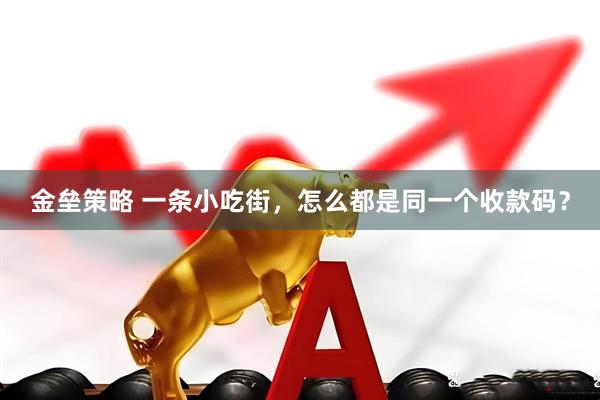 金垒策略 一条小吃街，怎么都是同一个收款码？