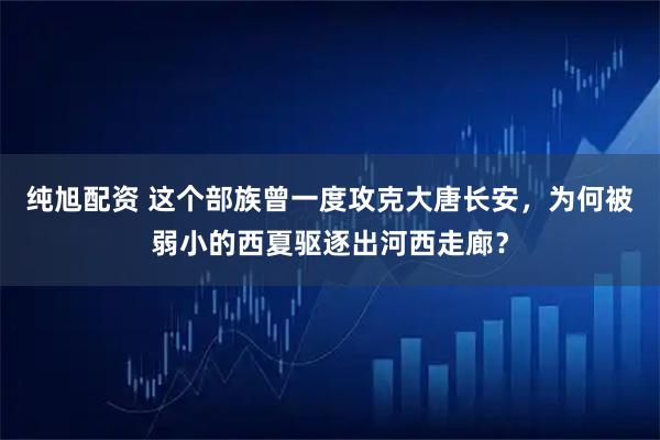 纯旭配资 这个部族曾一度攻克大唐长安，为何被弱小的西夏驱逐出河西走廊？